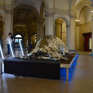 (VBM / Sergio Caré)