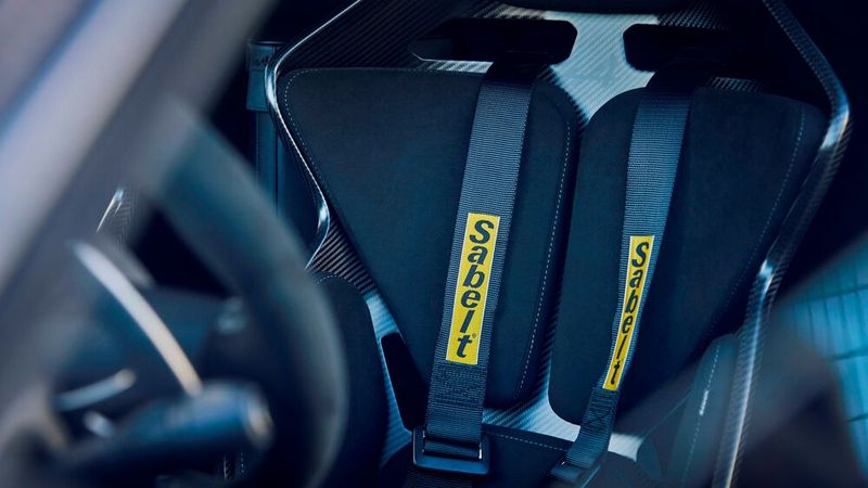 6-Punkt-Hosenträgergurte aus dem Rennsport sorgen für guten Halt. (Bild: Alpine)