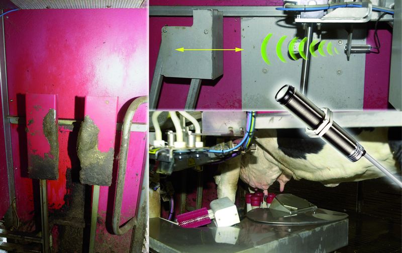 Bild 3: Ultraschallsenor überwacht Position einer zu melkenden Kuh am Melkroboter.       Bilder: Baumer Electric (Archiv: Vogel Business Media)
