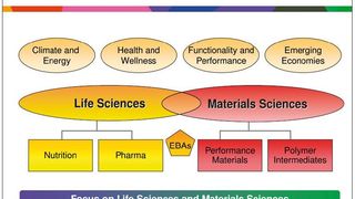 Schon die unterschiedlichen Zielmärkte und Geschäftsfelder vom DSM lassen die Produkt- und Datenfülle erahnen.  (Bild: DSM)