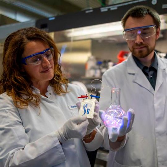 Mit den reaktivierten Anoden- und Kathodenmaterialien hat das RecycleMat-Team des ZSW Pouchzellen gebaut und eine LED-Lichterkette betrieben. Mit den reaktivierten Anoden- und Kathodenmaterialien hat das RecycleMat-Team des ZSW Pouchzellen gebaut und eine LED-Lichterkette betrieben.