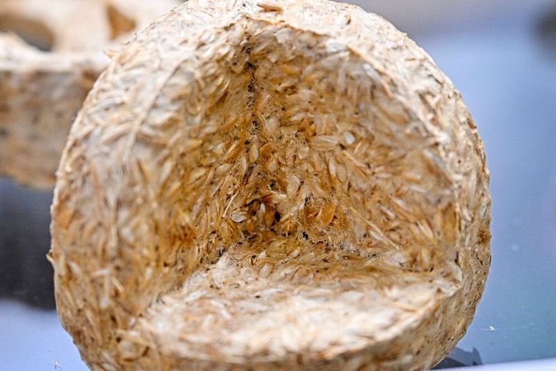  (Bild: Nürnbergmesse)