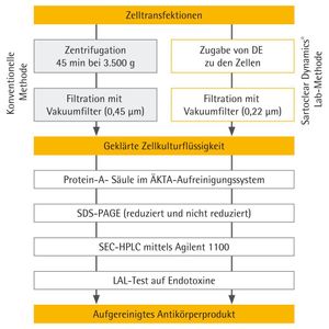 (Absolute Antibody Ltd)