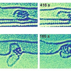 Durch den energiereichen (80 keV) Elektronenstrahl stimulierte Katalyse, die auf der Ebene der einzelnen Atome stattfindet und verfolgt werden kann. Wir sehen die unterschiedliche katalytische Wirkung von Nickel- und Platin-Metallnanoclustern auf die sich neu um die kleinen Metallnanocluster bildenden Kohlenstoffstrukturen innerhalb einer Kohlenstoffnanoröhre.