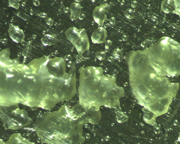 Die Mikroskopaufnahme zeigt das abgeschiedene LDPE auf dem Aluminiumsubstrat. (Bild: Reinhausen)