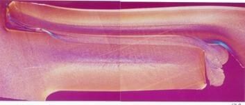 Muffenschweißung von Rohrleitungen (Bild: GF Piping Systems)