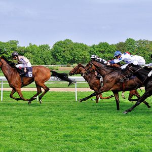 Wer künftig vorne sein will, braucht neben innovativen Produkten leistungsstarke Auslegungssysteme.