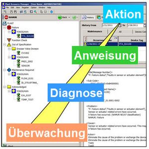 Sehen – wissen – handeln: ein grundlegender Ablauf im Plant Asset Management 