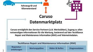 Einer der Partner von Caruso ist der Datenlieferant Tec-Alliance. (Tec-Alliance)