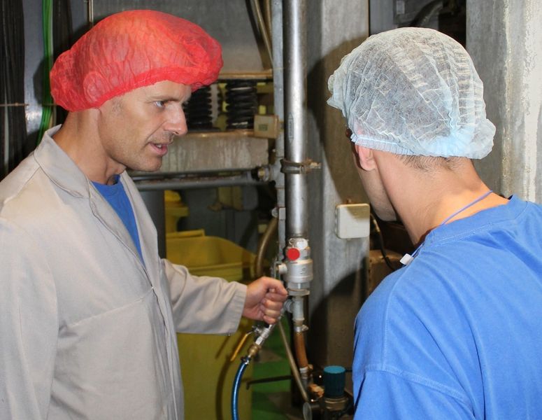Zur Aufzeichnung der Energie-Werte über den ganzen Betrieb hinweg installierte das Unternehmen zudem ein Energie-Überwachungssystem. (Bild: Moll Marzipan)