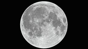 Wissenschaftler arbeiten an einem 3D-Drucker, der auf dem Mond zum Einsatz kommen kann. (Bild: Gudellaphoto - stock.adobe.com)