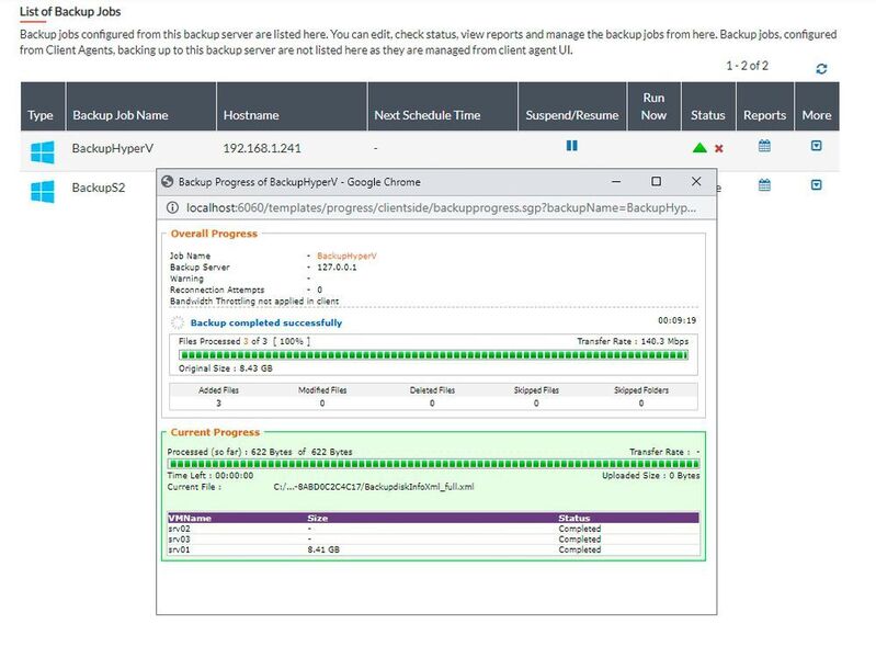 Status einer Datensicherung in Vembu BDR Suite. (Joos/Vembu (Screenshot))