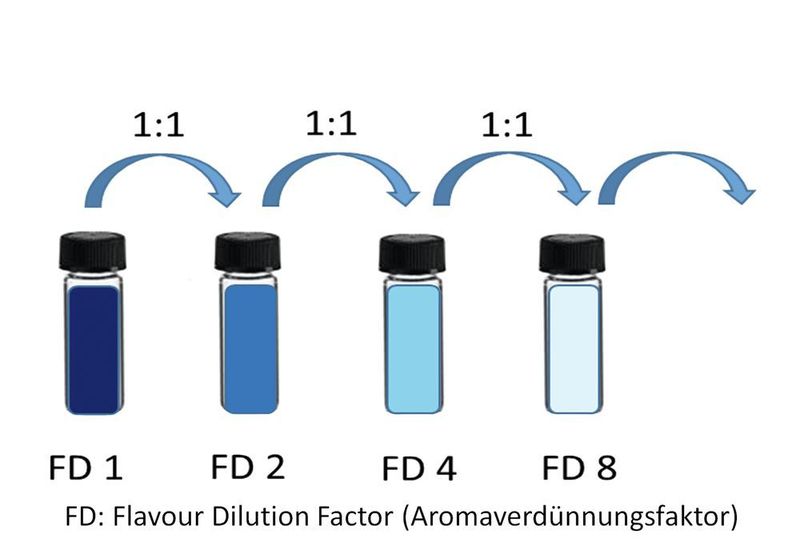 Abb. 3: Aromaextrakt-Verdünnungsanalyse (AEVA) (Hochschule Geisenheim)