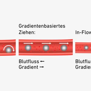 Grafische Darstellung der drei Navigationsvarianten. (Bild:  Luca Donati / ETH Zürich)