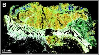 pressemitteilung-sill-optics-qeed (Quelle: Sill Optics)