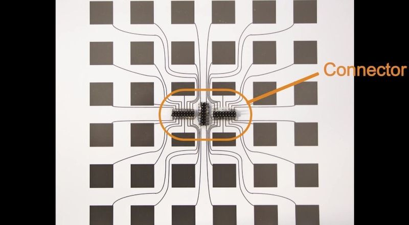 ...mit einem zentralen Konnektor im Zentrum. (MPI / youtube)