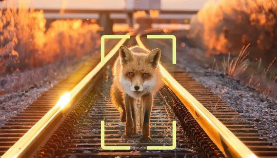 Eine künstliche Intelligenz erkennt und kategorisiert die von einer Kamera erfassten Wildtiere und vergrämt sie notfalls.(Bild:  Flox Intelligence 2026)