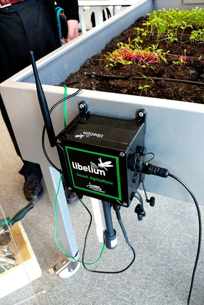 Dieser Use Case zu kognitiver Landwirtschaft zeigt, wie landwirtschaftliche Daten unter Verwendung lokaler Sensoren im Boden und entfernte Daten wie Wetter- und Satellitenbilder erfasst und kontinuierlich überwacht werden. Dies ermöglicht eine Echtzeit-Überwachung des Betriebs, um z.B. schnell auf Wetteränderungen reagieren zu können. (Bild: Harald Karcher)