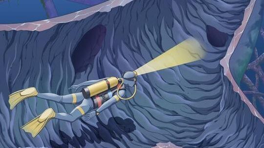 A team led by Janelia Research Campus Group Leader Jiefu Li has developed a new method to examine the proteins lining the inside surface of blood vessels. Like a cave diver, the new method illuminates the luminal surface of the vascular network.(Source:  Jiefu Li and Biovisart)