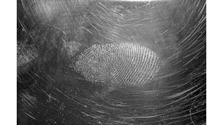 Die Datenanalyse von Short Tandem Repeats (STR; kurze, meist nichtcodierende DNA-Sequenzen) spielt eine wichtige Rolle in der Forensik. (Symbolbild) (Bild: frei lizenziert; Immo Wegmann)