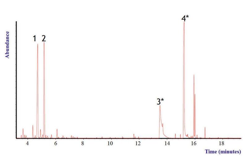 Abb. 3: Chromatogramm einer Atemprobe (1 = Aceton, 2 = Isopren, 3* = N, N-Dimethylacetamid, 4* = Phenol, * Verunreinigungen von Tedlar) (Philips Innovation labs)