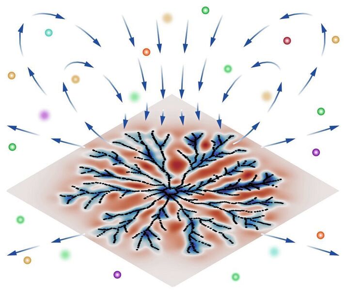 Bewegungsmuster auf einem ebenen Biofilm (blau-rot gefärbt) und dadurch erzeugte Flusslinien vom Lösungsmittel (blau), die für den Transport von Nährstoffen (bunte Kugeln) sorgen. (Stanford University / Arnold J. T. M. Mathijssen)