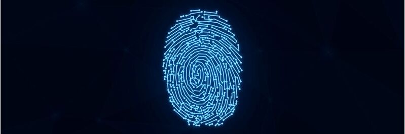 Passives Fingerprinting kann einem Cyber-Angreifer eine saubere und einfache Umgehungsstrategie ermöglichen.