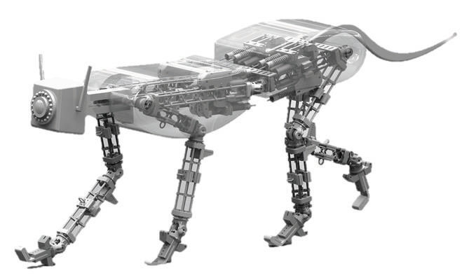 Unbegrenzte Möglichkeiten: Konzept für ein Cheetah nachempfundenes Robotersystem mit Myorobotics-Komponenten. (Bild: ETH Zürich, Hung Q. VU)