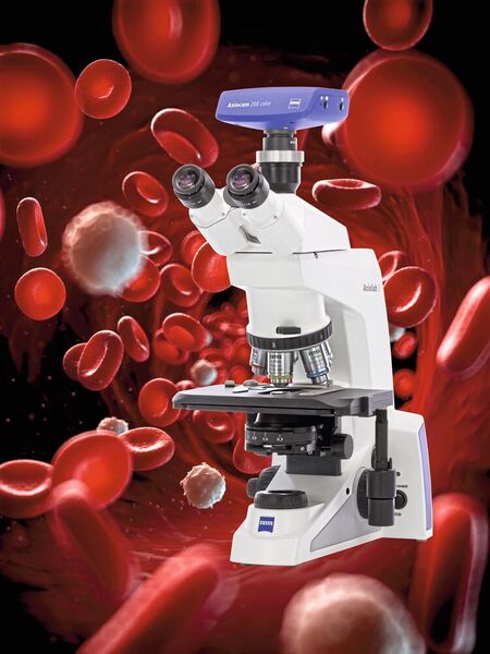 Mit ZEISS Axiolab 5 können Blutproben mikroskopisch charakterisiert werden. (ZEISS Microscopy; ©SciePro - stock.adobe.com_[M]-Kübert)