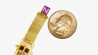 Northwestern University scientists have developed a wireless device that uses light to send information directly to the brain — bypassing the body’s natural sensory pathways. (Source: Mingzheng Wu/Rogers Research Group)