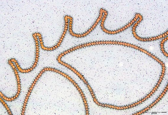 Das System ermöglicht auch bei sensitiven Materialien einen homogenen Abtrag. So kann damit eine 100 nm dünne Nickelschicht bearbeitet werden, ohne den Träger zu beschädigen. (Bild: GFH)