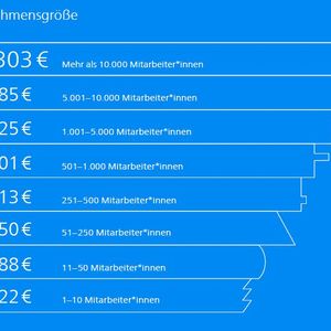 Die Unternehmensgröße hat einen großen Einfluss auf das Gehalt bei Ingenieuren. (Bild:  Stepstone, Grafik: Creneo)