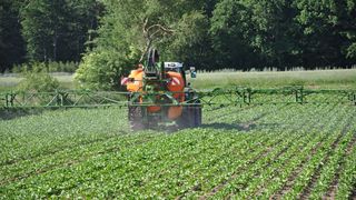 Pestizide in der Landwirtschaft tragen zum Verlust der Biodiversität bei. (Bild: Markus Bernards/ Fair)