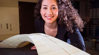 Sie hätte funktioniert - Leonardo da Vinci`s Entwurf für eine Brücke über das Goldene Horn hat einmal mehr bewiesen, wie MIT-Teammitglied Karly Bast sagt: "Leonardo wusste, wie die physikalische Welt funktioniert." (MIT)