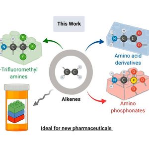 (Universität Wien/ Maulide Group)