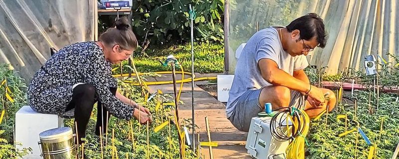 Die Autoren der Wiener Studie: Anke Bellaire und Arindam Ghatak sammelten Kichererbsenblätter vom Feld und maßen die physiologischen Parameter.(Bild:  Arindam Ghatak)