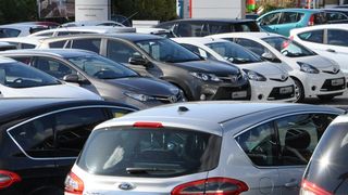 44354630 (Foto: Wehner)