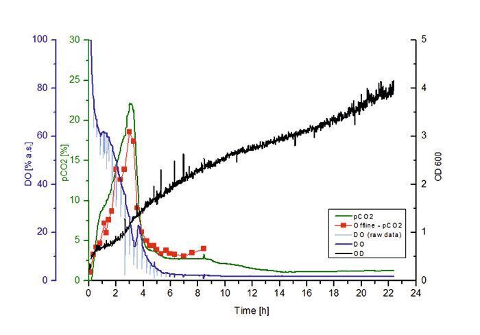 Fig.4: Measurement in a non-baffled flask with offline pCO2 measurement. The peaks of the raw DO signal are due to the stopping of the shaking device to take samples for the offline measurements. Biomass signal is filtered and transformed to OD 600nm. (Presens)