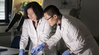Zhirong Zhao-Karger (links) und Zhenyou Li (rechts) aus dem Exzellenzcluster Polis (Post Lithium Storage Cluster of Excellence) gelang es, vielversprechende Elektrolyte für Calciumbatterien herzustellen. (Markus Breig/KIT)