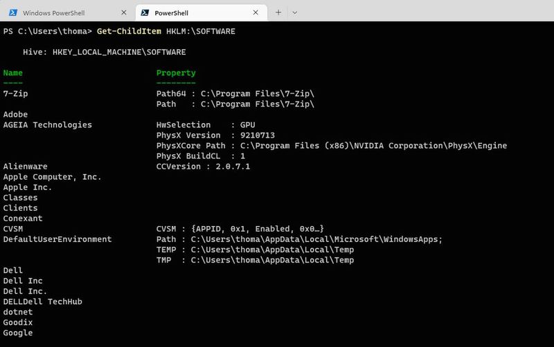 Anzeigen von Informationen aus der Registry mit der PowerShell. (Bild: Joos (Screenshot))