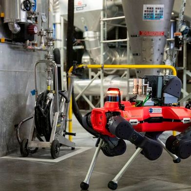 Robot ispettivo Anymal (Immagine:Anybotics)