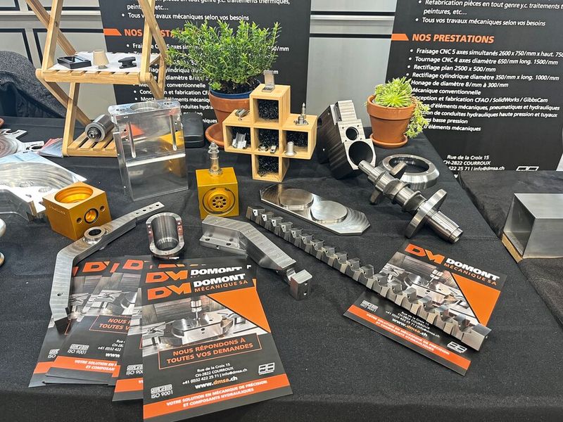 Domont Mécanique maîtrise aussi bien la fabrication de pièces lourdes que de composants de quelques grammes  seulement. (Source : MSM)