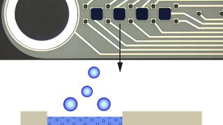 Im oberen Teil der Abbildung ist eine vergrößerte Aufnahme der in Freiburg hergestellten Mikrosonde zur Stimulation und gleichzeitigen Datengewinnung zu sehen. Unten ein Querschnitt der Beschichtung aus dem Polymer PEDOT, in das ein entzündungshemmendes Medikament eingespeichert ist, dass durch Anlegen von negativer Spannung freigesetzt werden kann. (Christian Böhler, Maria Asplund)