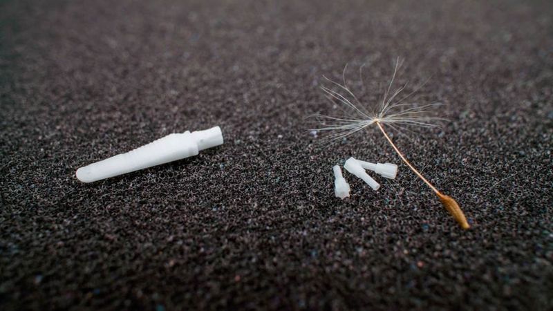 Ingenieursleistung im Mikrometerbereich: Bauteile kleiner als das Samenkorn einer Pusteblume, additiv gefertigt aus technischer Keramik, mit integrierten innenliegenden Kanälen und industrieller Serienfähigkeit – ein Niveau, das derzeit kein anderer Fertiger erreicht.  (Bild: Sinto Advanced Ceramics Europe GmbH)