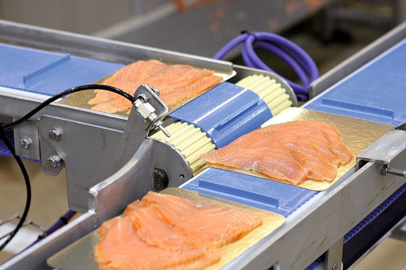Antrieb für Feinschmecker: Einsatz des neuen Synchrontrommelmotors von Interroll bei Meralliance, Frankreichs Nummer 1 bei Lachsspezialitäten. Bild: Interroll (Archiv: Vogel Business Media)