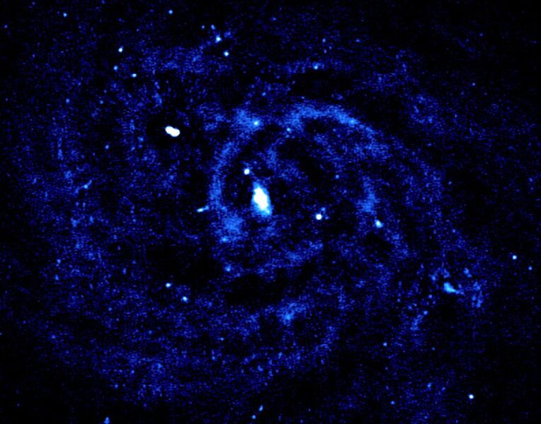 16: Die nahegelegene Spiralgalaxie IC 342: Die Radioemission kommt von den Spiralarmen, wo Supernova-Explosionen Elektronen auf hohe Energien beschleunigen. Im Hintergrund sind viele weitere Galaxien zu erkennen. (Maya Horton and the LOFAR surveys team / CC BY 3.0)
