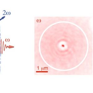 In den mikrometergroßen Kügelchen verwandeln die ungeordneten Nanokristalle das eintreffende rote Licht durch Frequenzverdopplung in blaues Licht. Dieses wird in verschiedene Richtungen abgestrahlt.(Bild:  Romolo Savo / ETH Zürich)