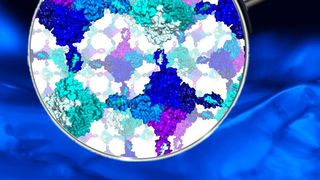 Biokatalysator: Zwei verschiedene Eiweißstoffe fügen sich, einem Zweikomponentenkleber vergleichbar, von selbst zu einem Hydrogel zusammen. (Theo Peschke/ KIT)