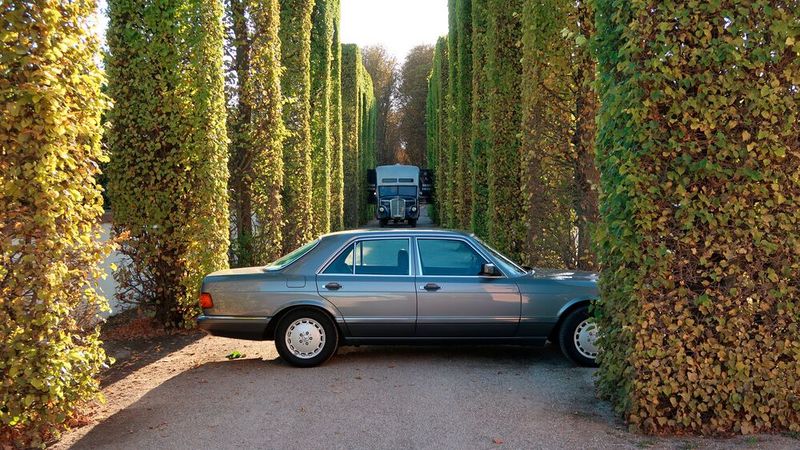 Der Schwetzinger Schlossgarten bietet die Gelegenheit für besondere Schnappschüsse. Vor allem spätnachmittags und abends bei tief stehender Sonne. (Bild: Peter Diehl)