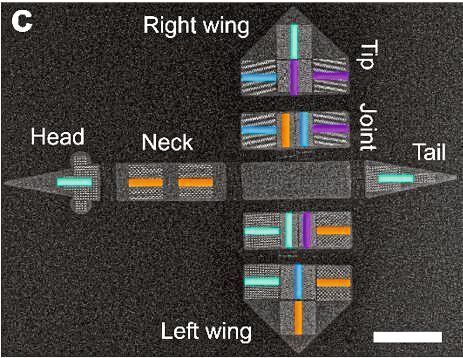 Die rasterelektronenmikroskopische Aufnahme zeigt das vogelartige Konstrukt mit Anordnungen von nanoskaligen Magneten. Die Magnete können in verschiedenen Ausrichtungen parallel zu den Farbbalken magnetisiert werden. 
Zum Größenvergleich: Der weiße Balken misst 15 Mikrometer. (Paul Scherrer Institut / ETH Zürich)